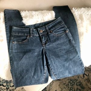 THE LIMITED Skinny Jeans